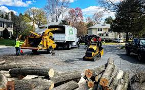 Best Lawn Dethatching  in Chester, CA