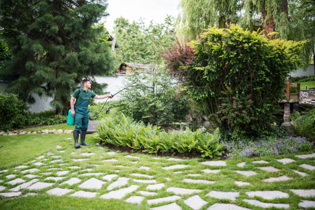  Chester, CA Tree Services Pros